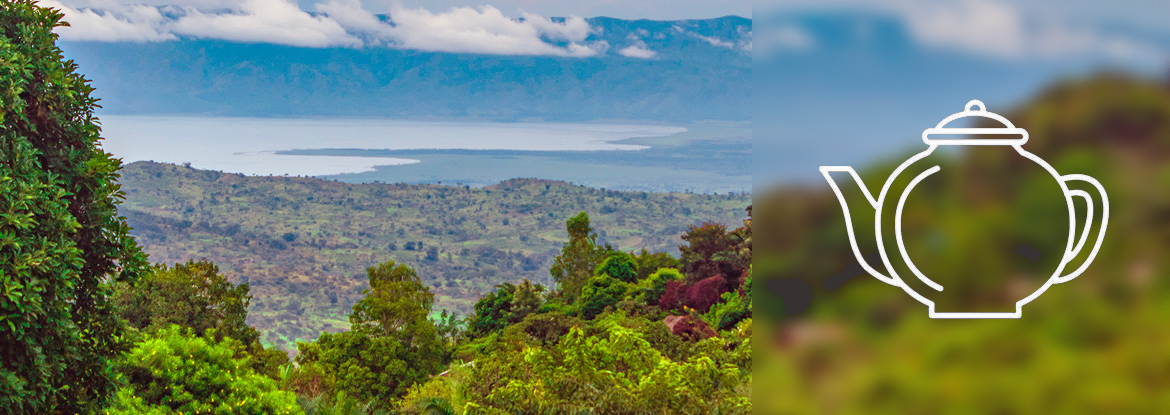 Landschaft Demokratische Republik Kongo